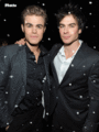 Stefan & Damon  - the-vampire-diaries fan art