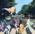 THIS. - my-little-pony-friendship-is-magic photo