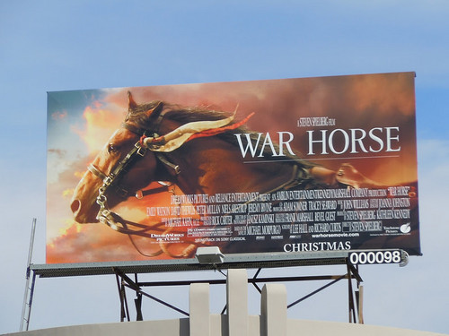  War Horse