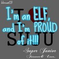 certified elf! - super-junior fan art