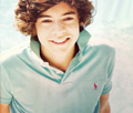 harry  - one-direction photo