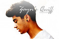what i love about  zayn ♥ - one-direction photo