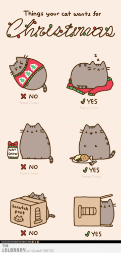  what your cat wanted for navidad