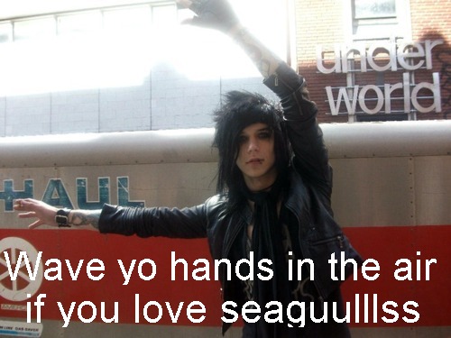  *^*Andy loves his Seagulls*^*