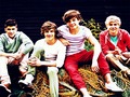 one-direction - :) wallpaper