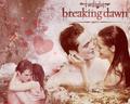 breaking-dawn-the-movie - Breaking Dawn Part 1 Wallpapers wallpaper