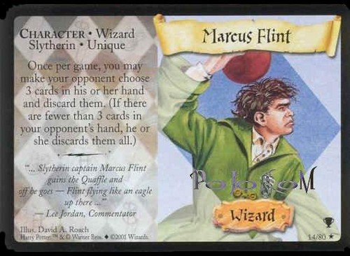 Flint Card
