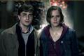 HP and Deathly Hallows Part 2 - harry-potter photo