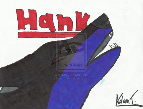  Hank the 狼 3