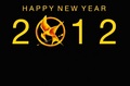 Happy New Year HG fans! - the-hunger-games photo