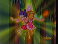 the-winx-club - Nickelodeon; Seeking the Truth screencap