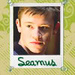 Seamus Icons - harry-potter icon