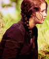 THG - the-hunger-games photo