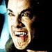 TVD CAST ♥ - the-vampire-diaries-tv-show icon