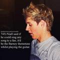 nialler facts! - one-direction photo