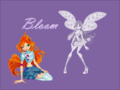 winx club awesome images - the-winx-club photo