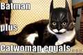 Batman+catwoman is equal to - random photo