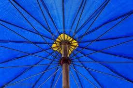  Blue Umbrella