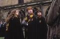 Harry Potter trio - harry-potter photo
