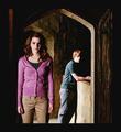 Hermione and Ron - harry-potter photo