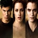 Jacob-Bella-Edward - twilight-series icon