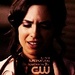 Meredith Fell - the-vampire-diaries-tv-show icon