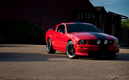 Mustang ;D