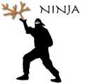 Ninja logo - random photo