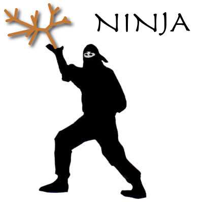  Ninja logo
