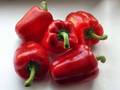 Red Pepper - food photo