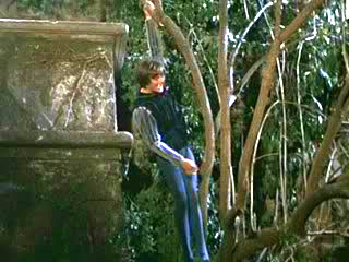  Romeo & Juliet (1968) 写真