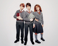 Ron, Harry & Hermione - harry-potter photo
