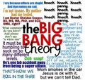 TBBT Funniest Quotes - the-big-bang-theory photo