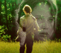 The Hunger Games <3 - the-hunger-games photo