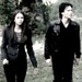 The New Deal-To the witches - damon-and-elena icon