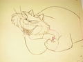 Walt Disney Sketches - Lucifer - walt-disney-characters photo