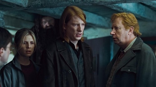  Weasley family