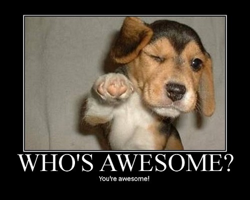  Who's Awesome?