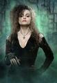 bellatrix lestrange - harry-potter photo