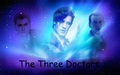 doctor-who - companions wallpaper