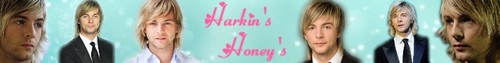 harkin's honey's banner
