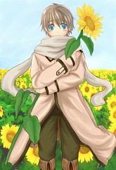  ivan-sunflower