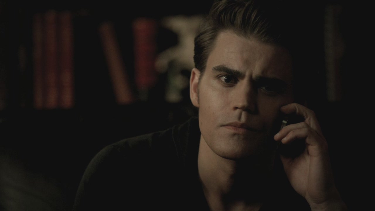 photo, photograph, gallery, 03x09 - homecoming, paul wesley, the vampire di...