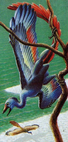  Archaeopteryx