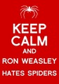 Keep Calm And... - harry-potter photo