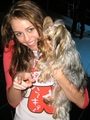 Miley with a dog - miley-cyrus photo
