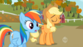 my-little-pony-friendship-is-magic - Rainbow Dash and Applejack screencap