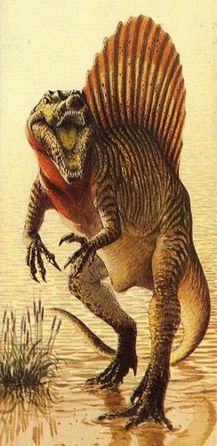  Spinosaurus