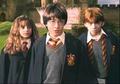Canon Characters - harry-potter-canon-rp photo