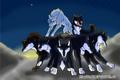 PoM Wolf war - penguins-of-madagascar fan art